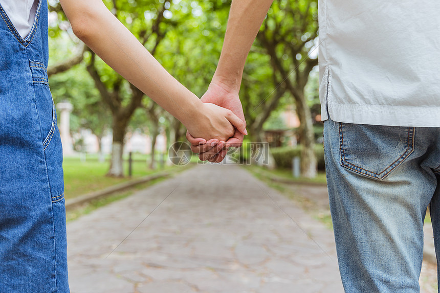 八百年山场韵 一脉铂悦情