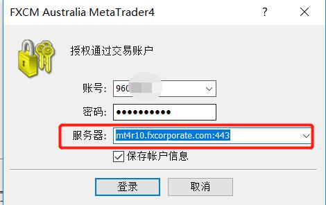 岭师健儿闪耀省大运会赛场