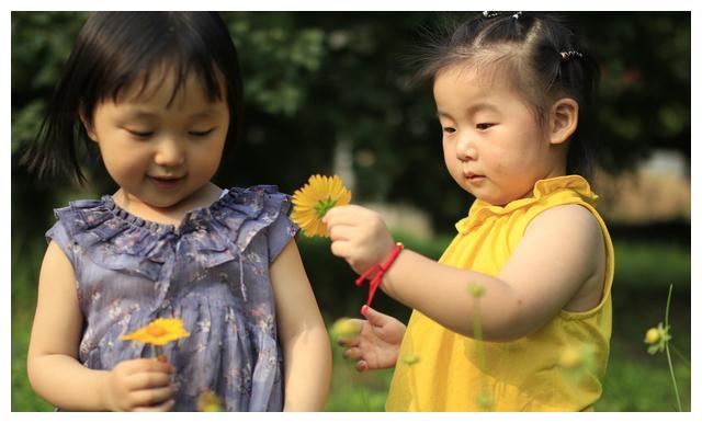 科技巨头的关键时刻！“七姐妹”财报季来袭，将如何定调美股后市？