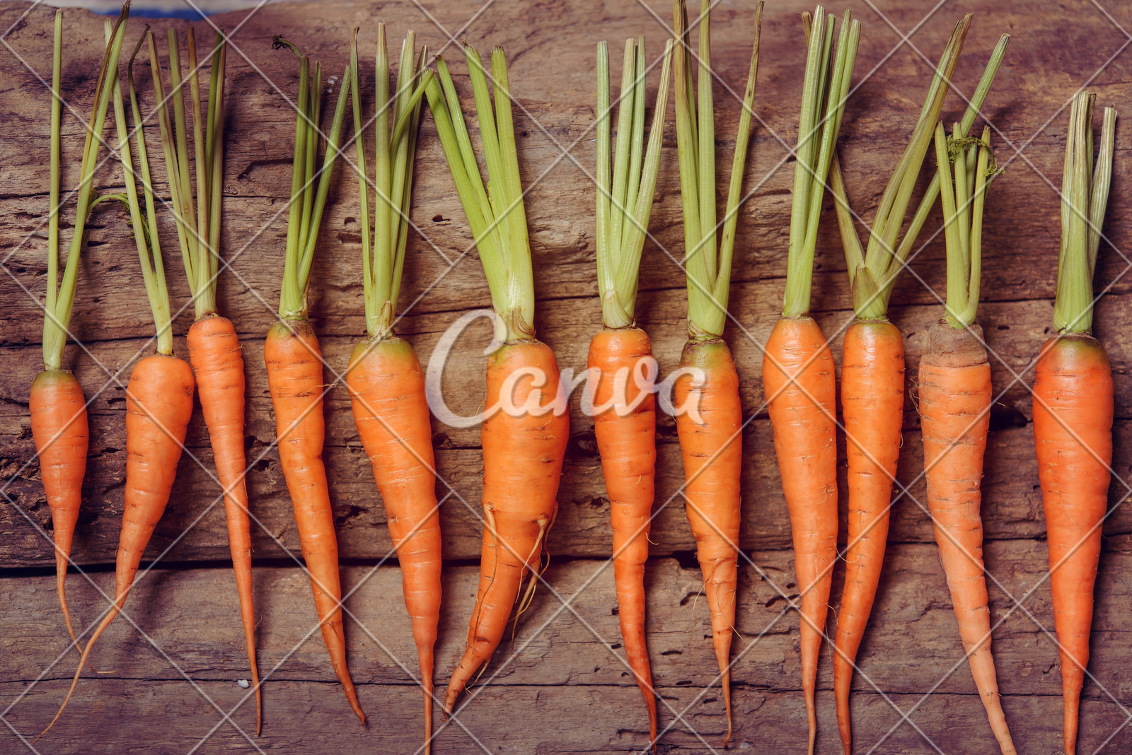 十五运会香港代表队：篮球项目的目标是冲进前八