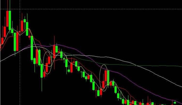 《珠海新闻》20250804