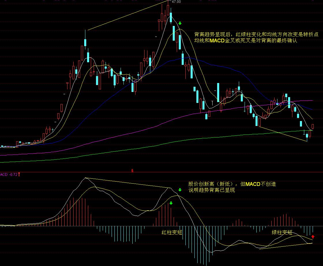 A股公告精选 | 药明康德(603259.SH)调整股份回购价格不超114.15元/股