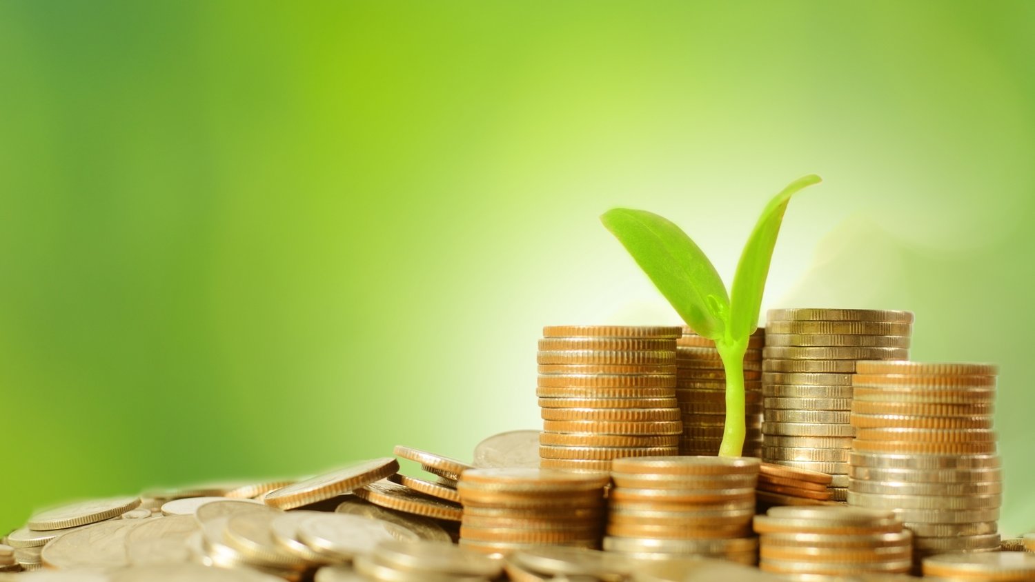 虚构电影投资项目募集亿元资金,徐某某被判刑