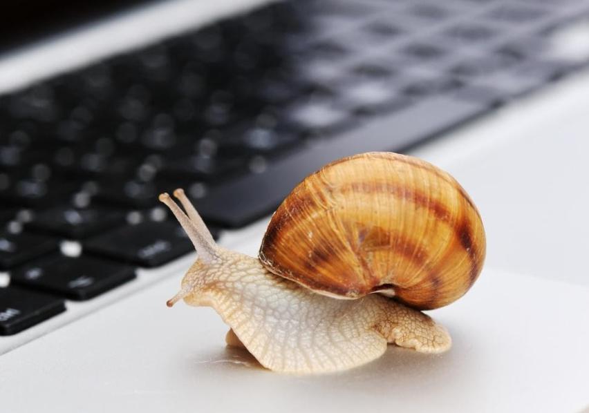 喜庆冬奥！黑龙江省市场监管局在行动……