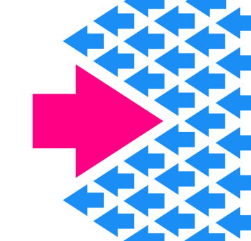 市农科院设施葡萄延迟栽培技术达国际先进水平